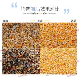精準(zhǔn)篩選，糧安天下 永興機(jī)械鑄就糧食分選新標(biāo)桿